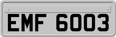 EMF6003