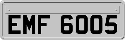 EMF6005