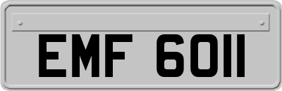 EMF6011