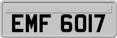 EMF6017