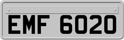 EMF6020