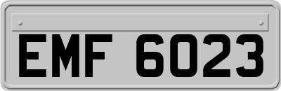 EMF6023