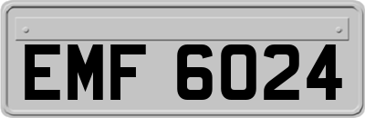 EMF6024
