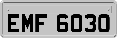 EMF6030
