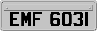 EMF6031