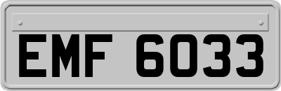 EMF6033