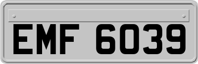EMF6039
