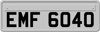 EMF6040