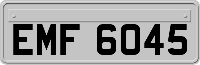 EMF6045