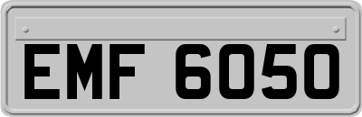 EMF6050