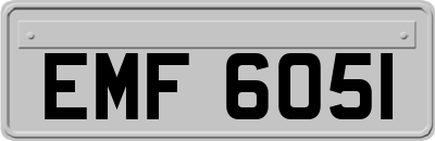 EMF6051