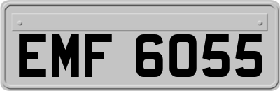 EMF6055