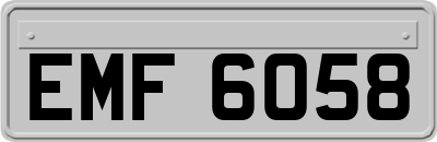 EMF6058