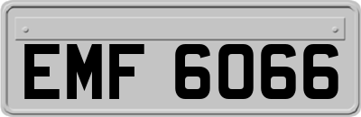 EMF6066