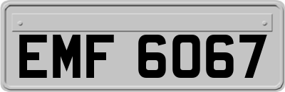 EMF6067