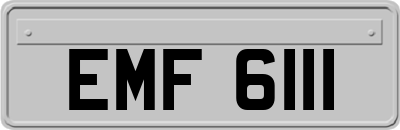 EMF6111