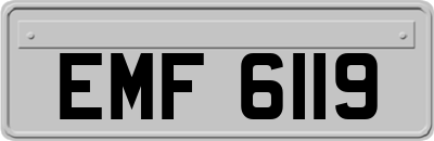EMF6119