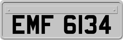 EMF6134