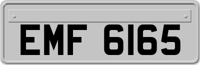 EMF6165