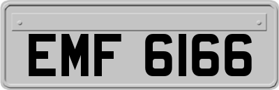 EMF6166