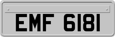 EMF6181