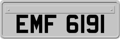 EMF6191
