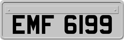 EMF6199