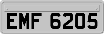 EMF6205