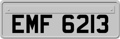 EMF6213