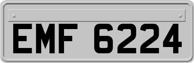 EMF6224