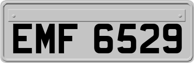 EMF6529