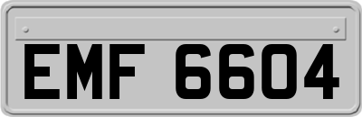 EMF6604