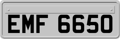 EMF6650