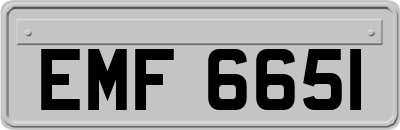 EMF6651
