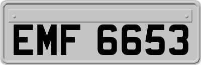 EMF6653