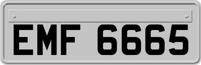 EMF6665