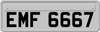 EMF6667