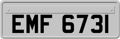 EMF6731