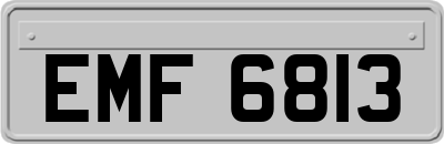 EMF6813