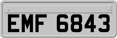 EMF6843