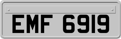 EMF6919