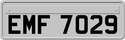 EMF7029