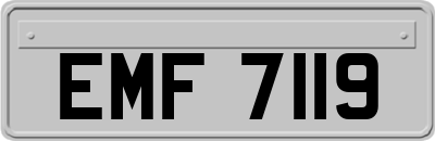 EMF7119