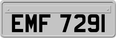 EMF7291
