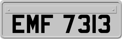 EMF7313