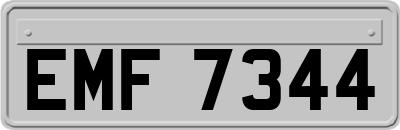EMF7344