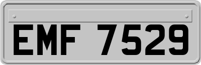 EMF7529