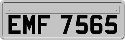EMF7565