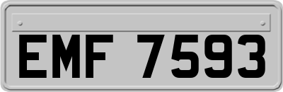 EMF7593