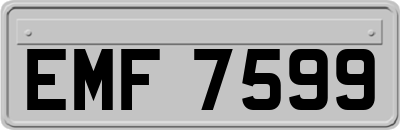 EMF7599